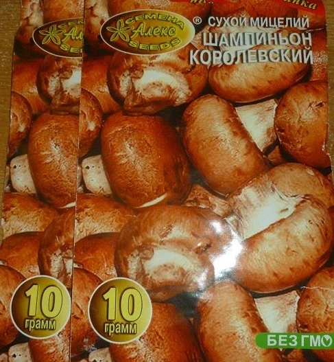 King Trumpet Mushroom Dried Spawn Mycelium – Factory Packed – Home Grow Kit - Image 1