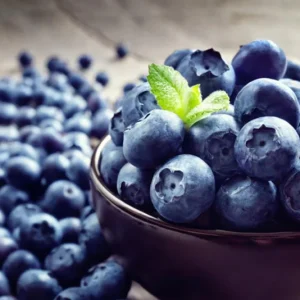 Legacy Blueberry Bush Live Plant – Southern Highbush – 4-8 Inch Starter - Image 5