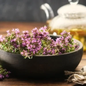 Lemon Thyme Live Plant – Set of 3 Culinary & Aromatic Perennial Herb – 2-6