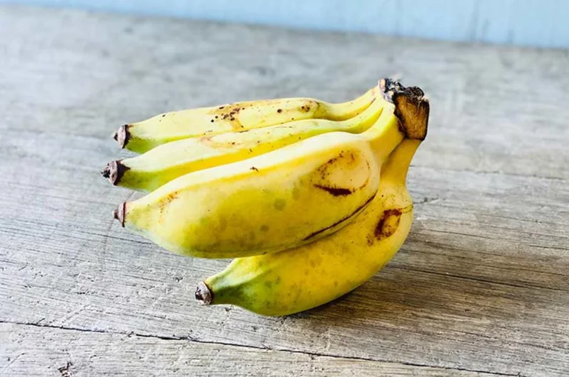 Nam Wah Banana Plant – Live Tropical Edible Banana Starter – 4-6 inch Tall - Image 7