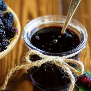 Pakistan Mulberry Tree - Live Starter Plant - 4 inch Tall - Sweet Fruit - Image 6