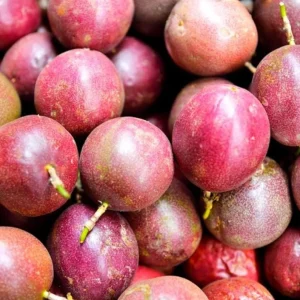 Purple Passion Fruit Live Plant – Edible Vine Starter – 4-6 inches Tall – USDA Zones 9-11 - Image 10