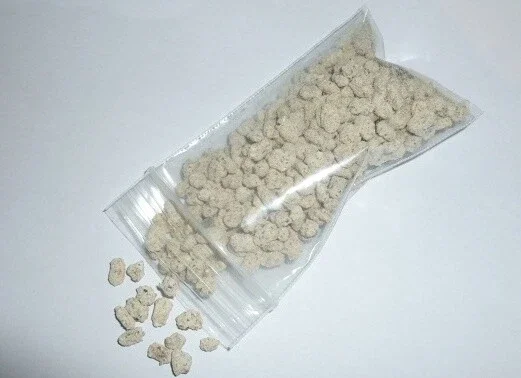 Reishi Mushroom Spores Spawn Mycelium on Dry Seeds - 20 Grams - Image 2