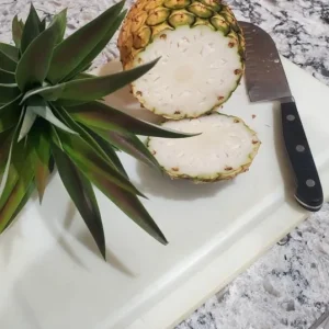 Set of 2 Live Sugarloaf Pineapple Plants - Ananas comosus - 4-6