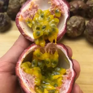 Set of 2 Purple Passionfruit Live Plants - 4-6