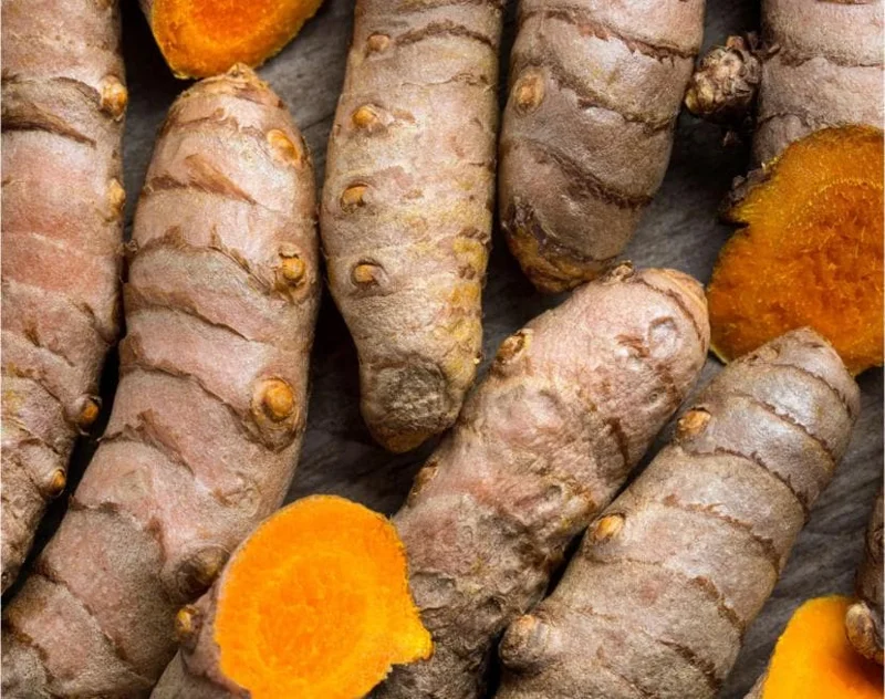 Set of 3 Yellow Turmeric Live Plants (Curcuma longa) – 4-6" Tall – No Pot - Image 2