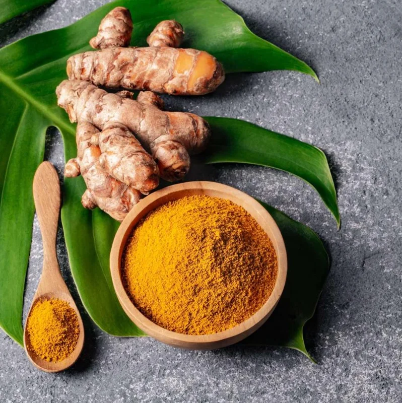 Set of 3 Yellow Turmeric Live Plants (Curcuma longa) – 4-6" Tall – No Pot - Image 1