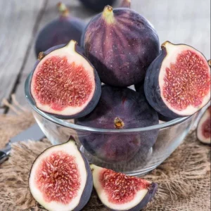 Set of 4 Fignomenal Fig Live Plants – 4-6