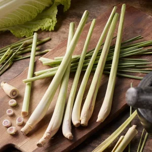 Set of 5 Live Lemongrass Plants - 4-8 Inch Tall Cymbopogon citratus Herb - Image 1