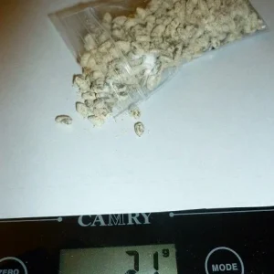 White Oregon Truffle Mushroom Spores Spawn Mycelium on Dry Seeds - Image 2