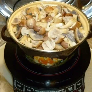 Wine Cap Mushroom Spores/Mycelium - On Dry Inert Seeds for Home Cultivation - Image 10