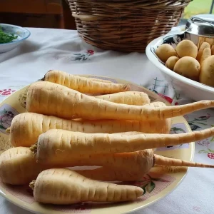 All American Parsnip Seeds - Heirloom Vegetable for Gardens, 200 Seeds - Image 2