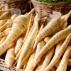 All American Parsnip Seeds - Heirloom Vegetable for Gardens, 200 Seeds - Image 1