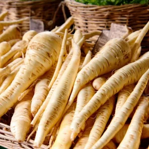 All American Parsnip Seeds - Heirloom Vegetable for Gardens, 200 Seeds - Image 1
