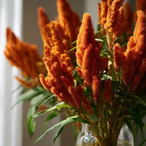 Amaranthus Hot Biscuits Seeds - 100 Burnt Orange Flower Seeds for Fall Decor - Image 3