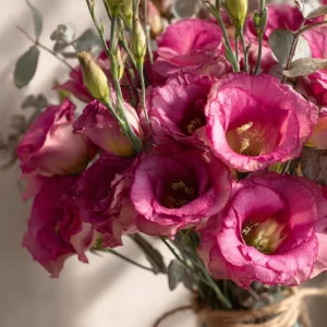 Arena III Red F1 Lisianthus Seeds - 25 Rich Berry Rose Eustoma Grandiflorum - Image 2