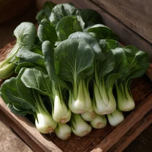 Baby Shanghai Pak Choi Cabbage Seeds - 150 Count Fast-Growing Asian Greens - Image 2