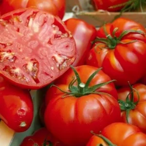 Beefsteak Tomato Live Plant – 6-8 Inch Tall, 4-Inch Pot, Garden Ready - Image 4