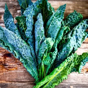Black Magic Kale Seeds - 300 Count - Dark, Cold-Hardy Leafy Greens for Gardens - Image 4