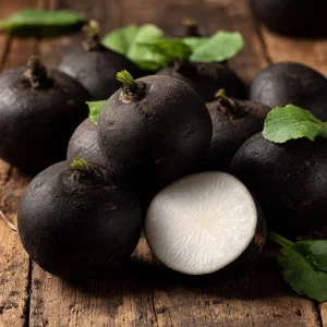 Black Spanish Round Radish Seeds - 250 Heirloom Winter Radishes for Crisp, Spicy Flavor - Image 4