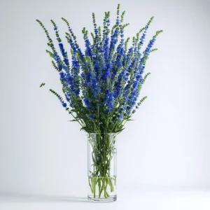 Blue Hyssop Seeds - Hyssopus officinalis - 250 Seeds - Garden Pollinator - Image 4