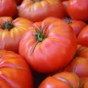 Brandywine Red Tomato Seeds - Heirloom Beefsteak Variety, 30 Seeds - Image 1