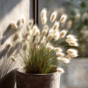 Bunny Tails Grass Seeds - 50 Heirloom Ornamental Grass Seeds, Hare's Tail Grass - Image 7