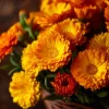 Calendula Pacific Beauty Mix Seeds - Heirloom Pot Marigold Flowers - 50+ Seeds - Image 1