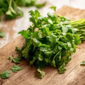 Cilantro Seeds – Bolt-Resistant Coriander – 70 Seeds – Herb for Leaves & Spice - Image 1