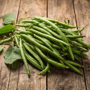 Contender Bush Bean Seeds - 30 Heirloom Green Bean Seeds for Garden - Image 3