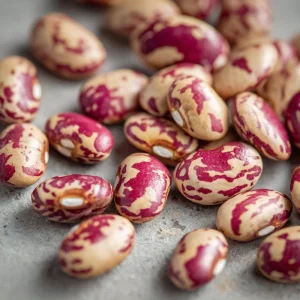 Cranberry Bean Seeds – Taylor's Horticultural Bush – Heirloom Bush Beans – 20 Seeds - Image 2