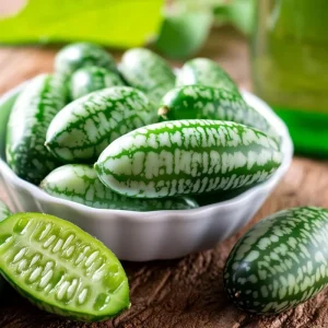 Cucamelon Mouse Melon Seeds 10 Count - Unique Mini Cucumber-Like Fruits for Gardens - Image 3