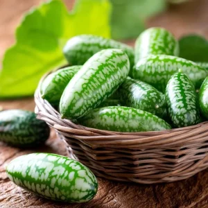 Cucamelon Mouse Melon Seeds 10 Count - Unique Mini Cucumber-Like Fruits for Gardens - Image 5