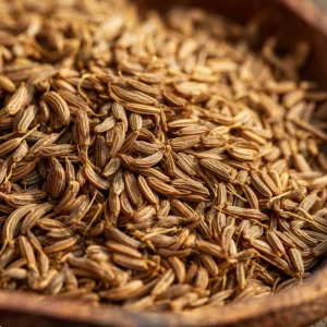 Cumin Seeds - 150 Heirloom Aromatic Spice Seeds for Cooking & Medicinal Use - Image 4