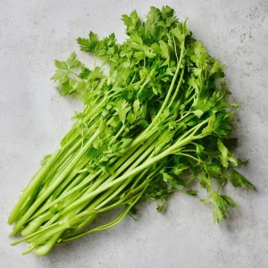 Cutting Celery Seeds - 200 Seeds, Flavorful Leaf Celery Herb for Gardens & Containers - Image 2