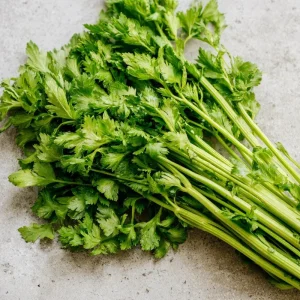 Cutting Celery Seeds - 200 Seeds, Flavorful Leaf Celery Herb for Gardens & Containers - Image 1