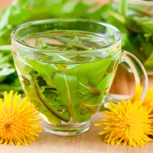 Dandelion Seeds - 50 Count Taraxacum officinale, Edible & Medicinal Herb - Image 1