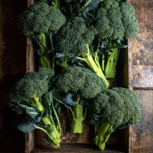 Di Cicco Broccoli 200 Seeds – Heirloom Italian Variety, Easy-to-Grow - Image 4