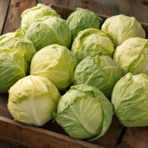 Golden Acre Cabbage Seeds – Heirloom Variety, Sweet & Crisp (200 Seeds) - Image 1