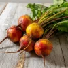 Golden Detroit Beet Seeds – Heirloom Yellow Beets (Beta vulgaris) – 150 Seeds, Easy-to-Grow - Image 1