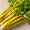 Golden Pascal Celery Seeds - 100 Heirloom Seeds - Easy-to-Grow Vegetable - Image 1