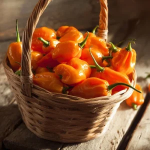 Habanero Orange Hot Pepper Seeds - Capsicum chinense - 25 Seeds, Fiery Heat - Image 3
