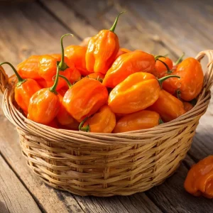 Habanero Orange Hot Pepper Seeds - Capsicum chinense - 25 Seeds, Fiery Heat - Image 1