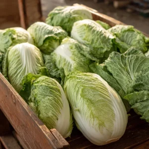Heirloom Napa Cabbage Seeds – Chinese Cabbage – 100 Seed Pack – Easy Grow - Image 1