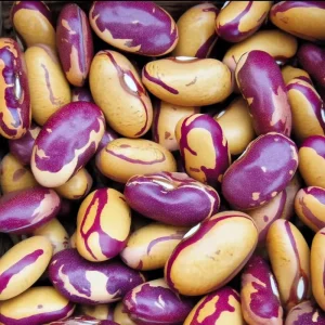 Heirloom Tiger's Eye Bush Bean Seeds – 25 Seeds – Nutty Flavor - Image 1