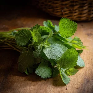 Lemon Balm Seeds - Melissa officinalis - 150 Count - Fragrant Culinary & Tea Herb - Image 5