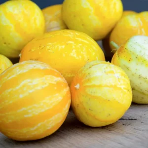 Lemon Cucumber Seeds - 30 Seeds - Heirloom Cucumis sativus - Unique Round Yellow Cucumbers for Gardens & Containers - Image 3