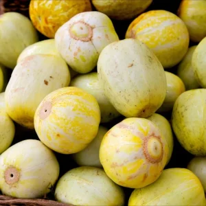 Lemon Cucumber Seeds - 30 Seeds - Heirloom Cucumis sativus - Unique Round Yellow Cucumbers for Gardens & Containers - Image 4