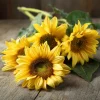 Lemon Queen Sunflower Seeds – Heirloom Helianthus annuus – 25 Seeds – Outdoor - Image 1