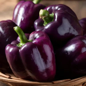 Lilac Sweet Bell Pepper Seeds - 30 Count, Container Garden Variety - Image 2